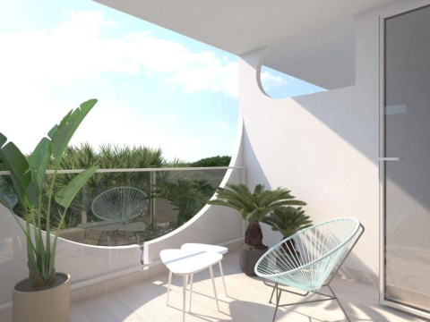 Hotel Vibra Palma Cactus