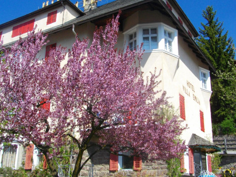 Hotel Villa Emilia