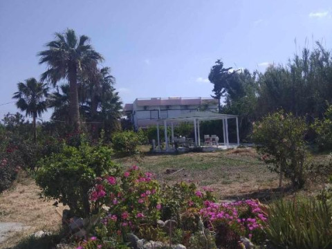 Hotel Violetta