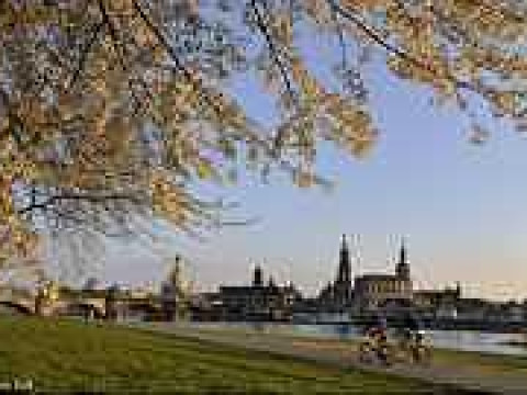 Ibis Hotels Dresden