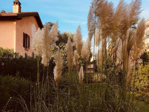 Il Giardino Segreto