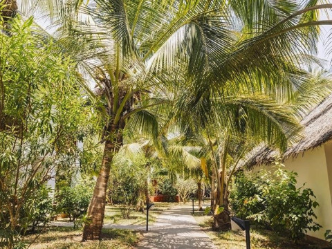 Jaz Adonia Beach Resort