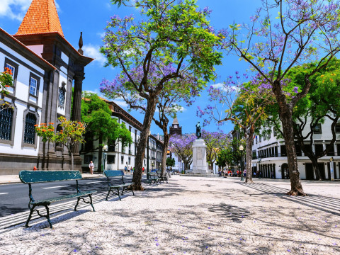 Alojamento Central II