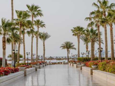 Baron Resort