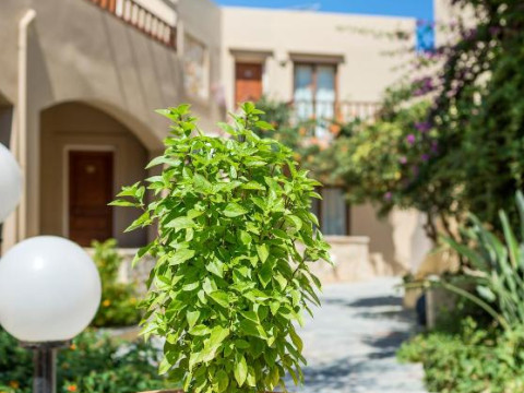 INDIGO MARE SUITES & APARTMENTS