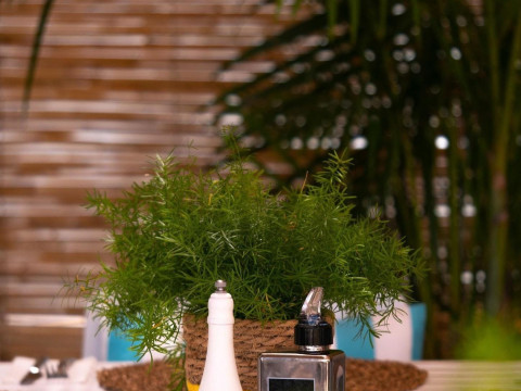 INN MALLORCA APART-HOTEL