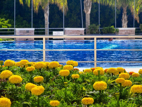 Ionian Theoxenia Hotel