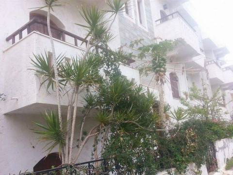 IRENE APARTMENTS