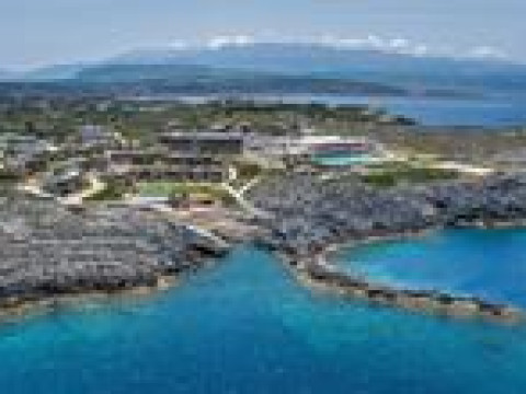 ISLA BROWN CHANIA