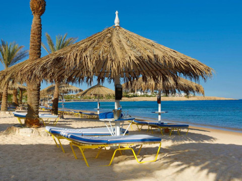 JAZ SHARM DREAMS RESORT