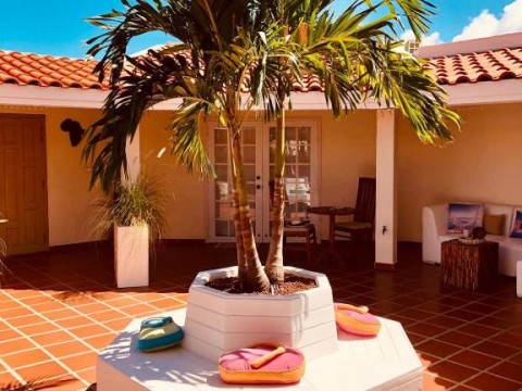 Karibu Aruba
