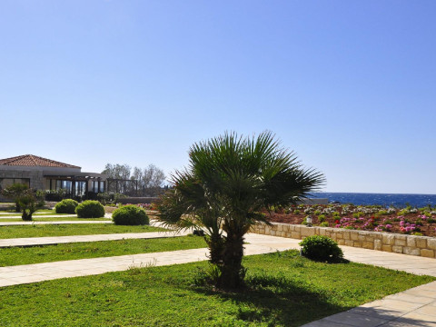 Kavos Hotel