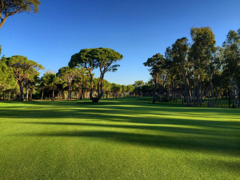 KAYA PALAZZO GOLF