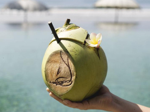 Kelapa Retreat