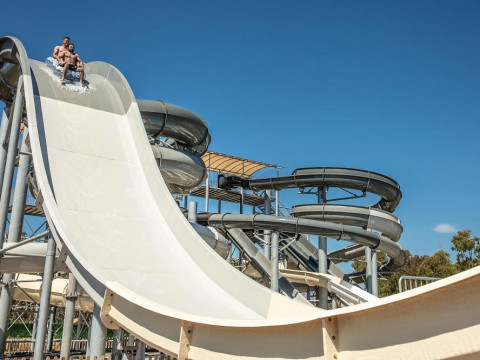 Ideal Pearl (adults only)