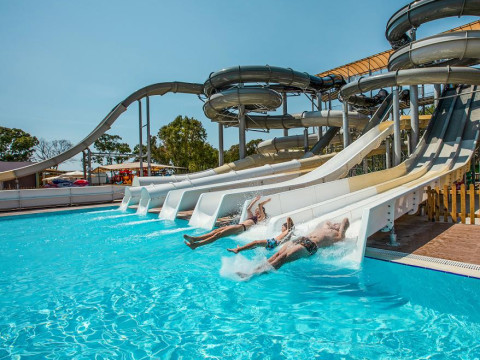 Ideal Pearl (adults only)