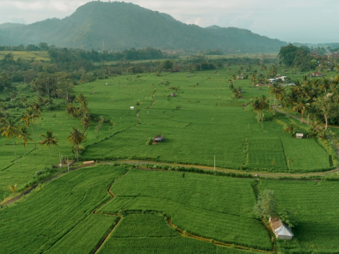 Kubu Sakian