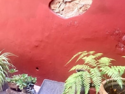 LA CASA DEL NARANJO