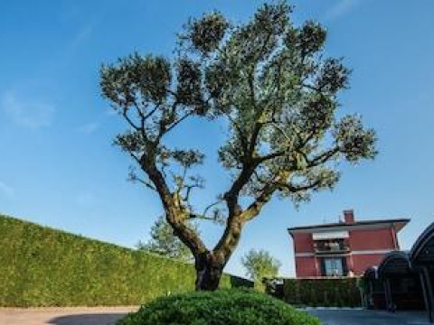 La Casa Di Linda