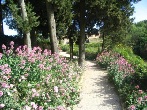 La Casetta - Casa Di Campagna