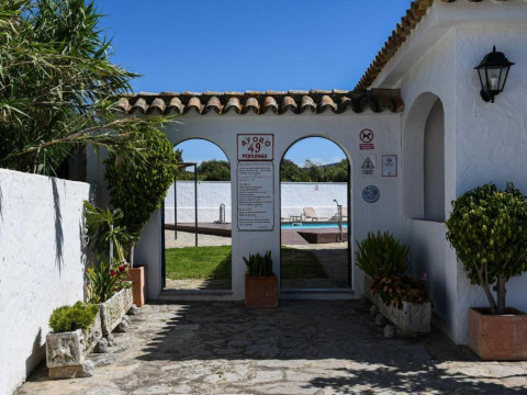 La Codorniz