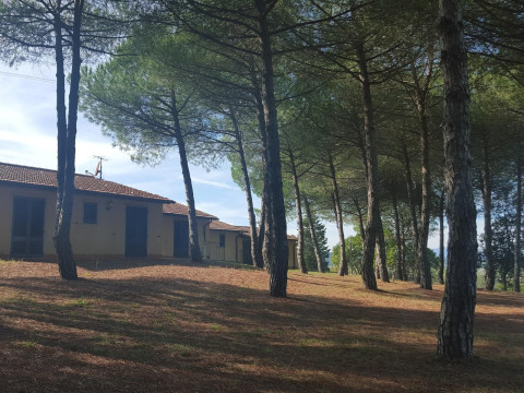 La Collinella