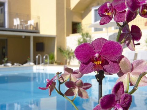 LA STELLA SUITES