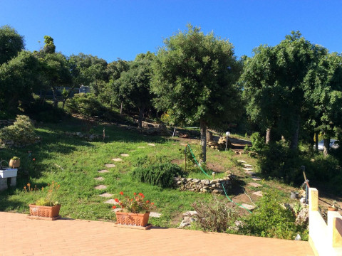 LA VALLE DEI CORBEZZOLI