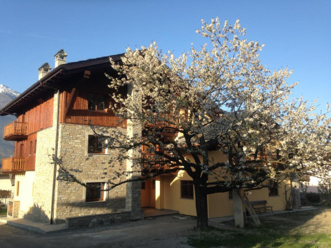 La Vigne De Papagran
