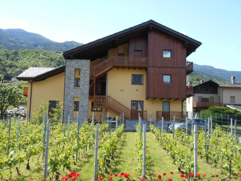 La Vigne De Papagran