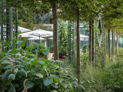 Le Bristol Paris - an Oetker Collection Hotel