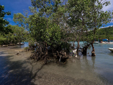 Lembongan Hostel