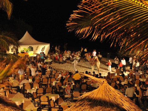 Leopard Beach Resort and Spa