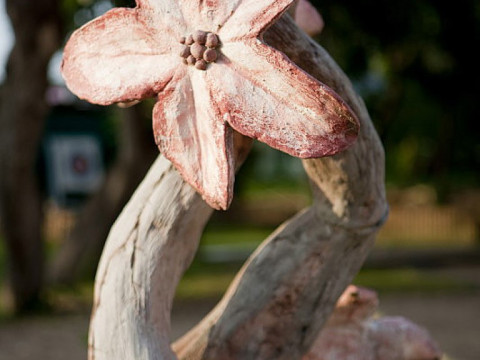 Les Magnolias