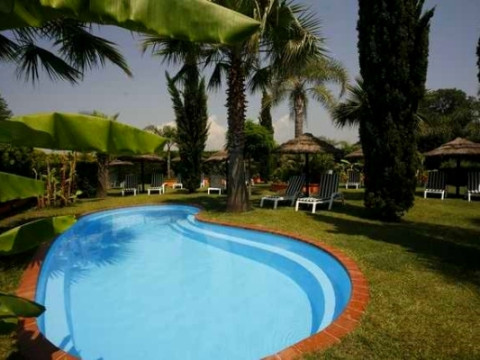 Leucosya