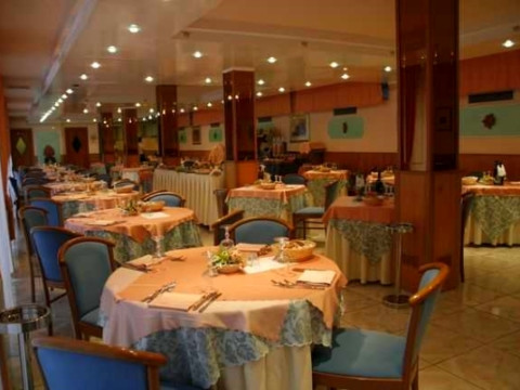 Leucosya