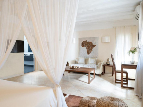 Lion in the Sun - a Billionaire Retreat