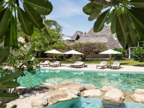 Lion in the Sun - a Billionaire Retreat