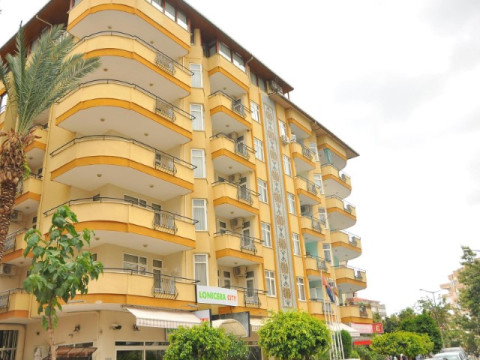 LONICERA CITY KLEOPATRA