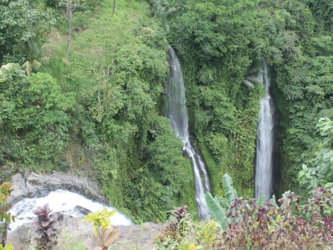 Mandhasativa Homestay