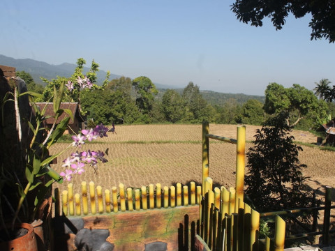 Mandhasativa Homestay