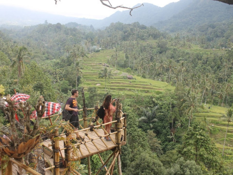Mandhasativa Homestay