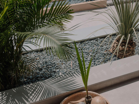 Marble Luxury Suites