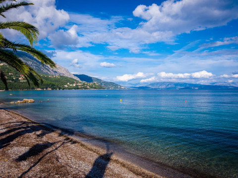Ipsos Di Mare