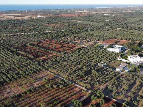 Masseria Borgo Santuri