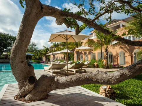 Medina Palms