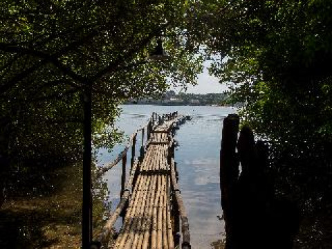 Menjangan Ecolodge