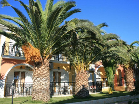 Hotel Metaxa