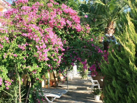 Hotel Metaxa