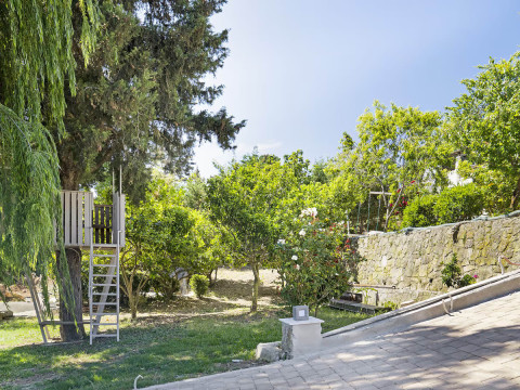 Monte Verde